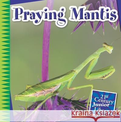 Praying Mantis Tamra Orr 9781633626836 Cherry Lake Publishing - książka