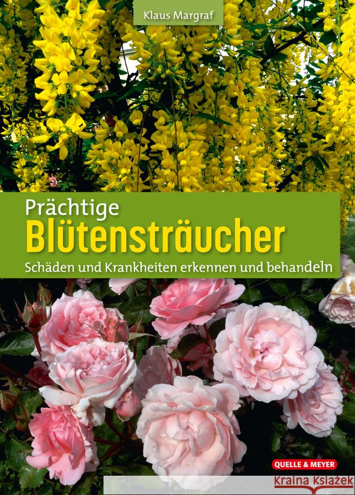 Prächtige Blütensträucher Margraf, Klaus 9783494019420 Quelle & Meyer - książka