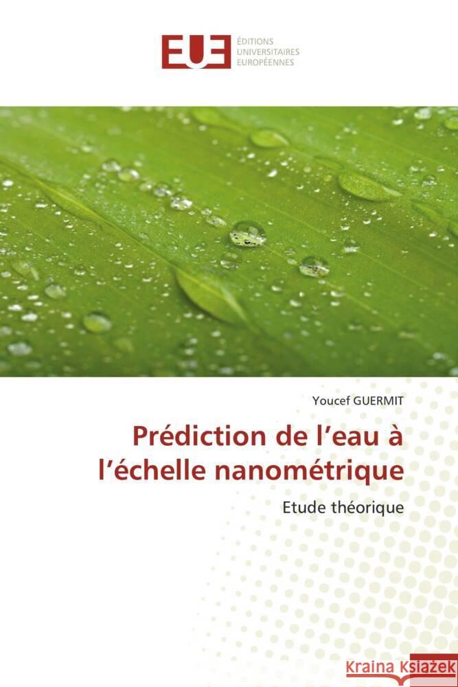 Pr?diction de l'eau ? l'?chelle nanom?trique Youcef Guermit 9786206710158 Editions Universitaires Europeennes - książka