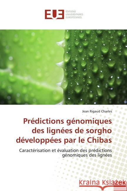 Prédictions génomiques des lignées de sorgho développées par le Chibas : Caractérisation et évaluation des prédictions génomiques des lignées Charles, Jean Rigaud 9786138414445 Éditions universitaires européennes - książka