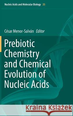 Prebiotic Chemistry and Chemical Evolution of Nucleic Acids Cesar Menor-Salvan 9783319935836 Springer - książka