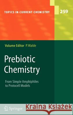 Prebiotic Chemistry: From Simple Amphiphiles to Protocell Models Walde, Peter 9783540277590 Springer - książka