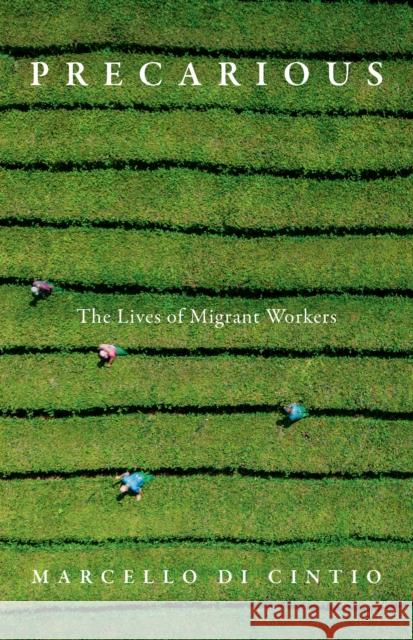 Precarious: The Secret Lives of Migrant Workers Marcello Di Cintio 9781771966597 Biblioasis - książka