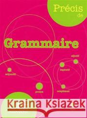 Precis de Grammaire Chollet 9782090352559 Cle - książka
