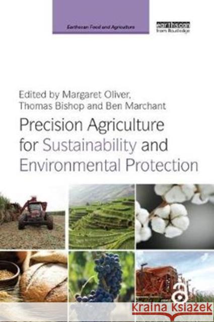 Precision Agriculture for Sustainability and Environmental Protection  9781138364158 Taylor and Francis - książka