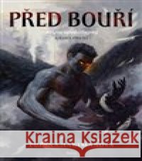 Před bouří Zuzana Hartmanová 9788075778468 Host - książka