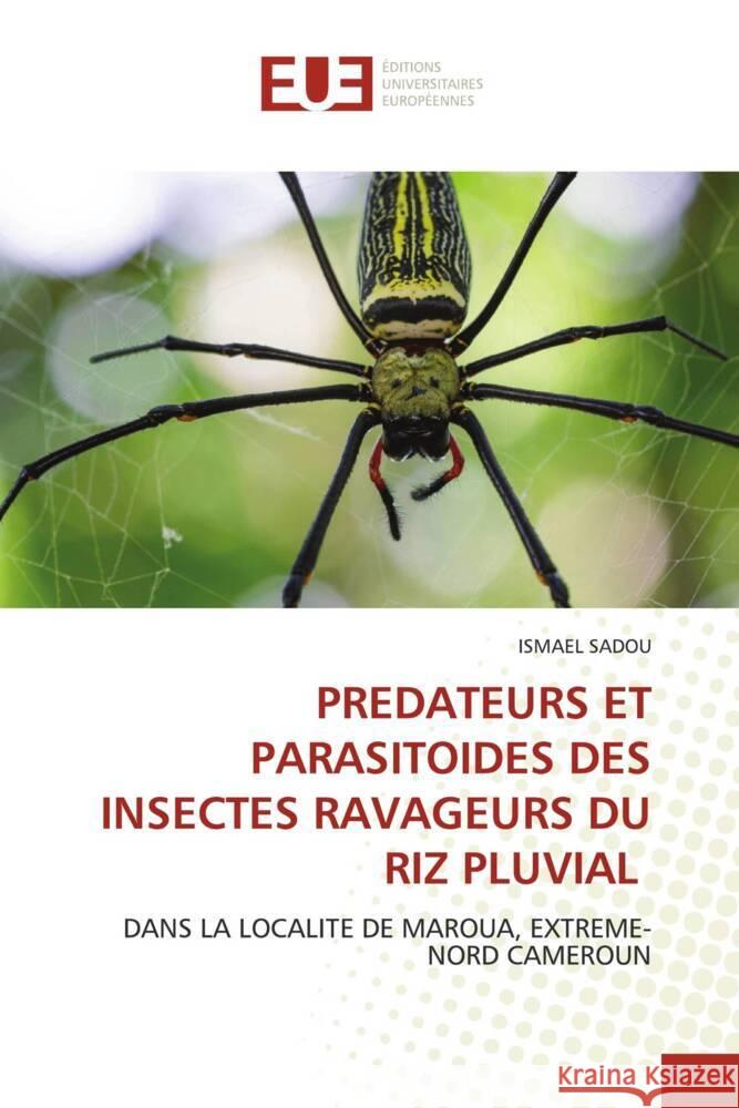 Predateurs Et Parasitoides Des Insectes Ravageurs Du Riz Pluvial Ismael Sadou 9786203449952 Editions Universitaires Europeennes - książka