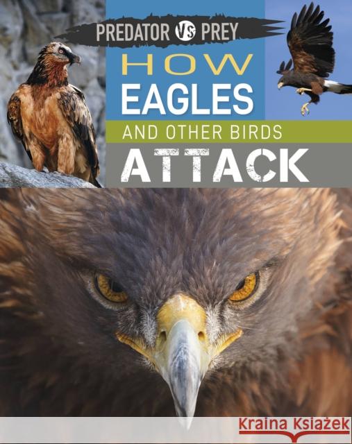 Predator vs Prey: How Eagles and other Birds Attack Tim Harris 9781526314581 Hachette Children's Group - książka