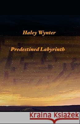 Predestined Labyrinth Wynter Haley Wynter 9798522006341 Independently published - książka