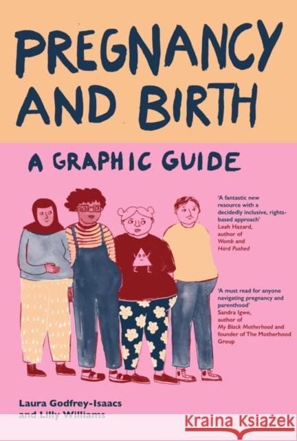 Pregnancy and Birth: A Graphic Guide Laura Godfrey-Isaacs 9781837731336 Icon Books - książka