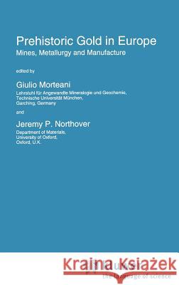 Prehistoric Gold in Europe: Mines, Metallurgy and Manufacture Morteani, Giulio 9780792332558 Springer - książka