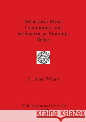 Prehistoric Maya Community and Settlement Atnohmul, Belize Pyburn, K. Anne 9780860546504 British Archaeological Reports - książka