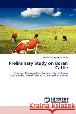 Preliminary Study on Boran Cattle Sahlu Bahlibi Weldegebriall 9783846534595 LAP Lambert Academic Publishing - książka