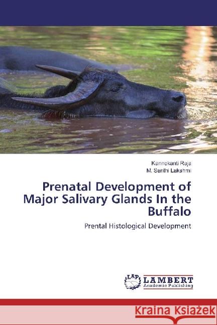 Prenatal Development of Major Salivary Glands In the Buffalo : Prental Histological Development Raja, Kannekanti; Santhi Lakshmi, M. 9783659953668 LAP Lambert Academic Publishing - książka