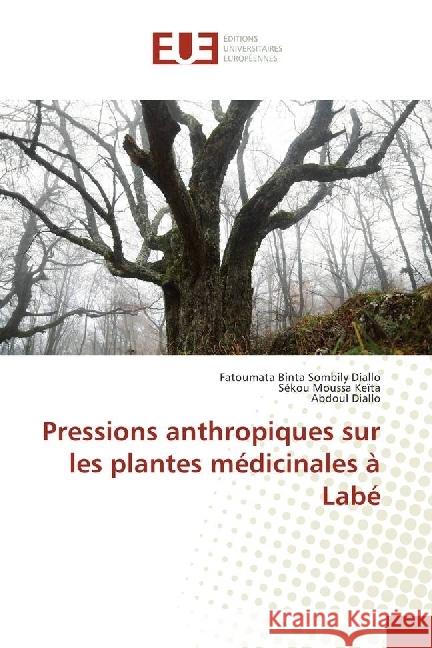 Pressions anthropiques sur les plantes médicinales à Labé Diallo, Fatoumata Binta Sombily; Keita, Sékou Moussa; Diallo, Abdoul 9786202266512 Éditions universitaires européennes - książka