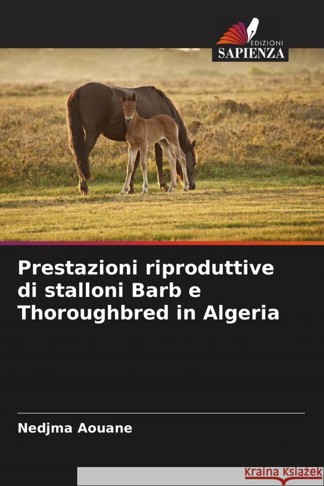 Prestazioni riproduttive di stalloni Barb e Thoroughbred in Algeria Aouane, Nedjma 9786204937342 Edizioni Sapienza - książka