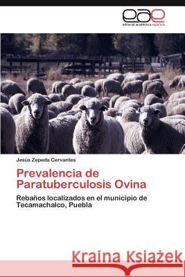 Prevalencia de Paratuberculosis Ovina Jes S. Zeped 9783659037252 Editorial Acad Mica Espa Ola - książka