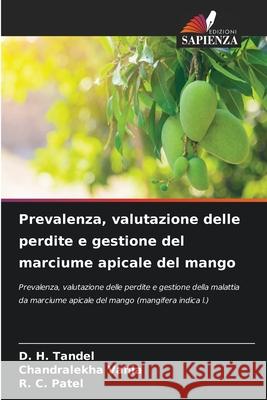 Prevalenza, valutazione delle perdite e gestione del marciume apicale del mango D. H. Tandel Chandralekha Vahia R. C. Patel 9786207627004 Edizioni Sapienza - książka