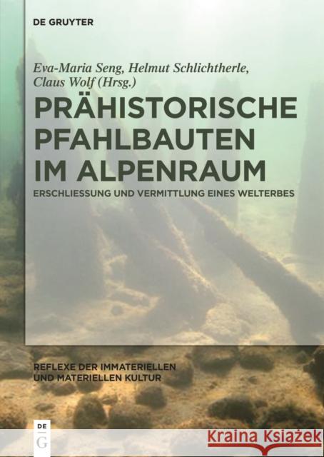 Prähistorische Pfahlbauten im Alpenraum : Erschließung und Vermittlung eines Welterbes Eva-Maria Seng Helmut Schlichtherle Claus Wolf 9783110416701 De Gruyter - książka