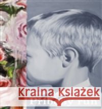 Příběhy run Daniel Adam Balušek 9788090645806 ART Foundation - książka