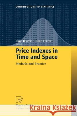 Price Indexes in Time and Space: Methods and Practice Biggeri, Luigi 9783790828146 Springer - książka