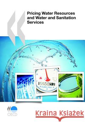 Pricing Water Resources and Water and Sanitation Services OECD: Organisation for Economic Co-opera   9781843393665 IWA Publishing - książka