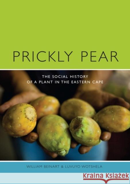 Prickly Pear: A Social History of a Plant in the Eastern Cape Beinart, William 9781868145300  - książka