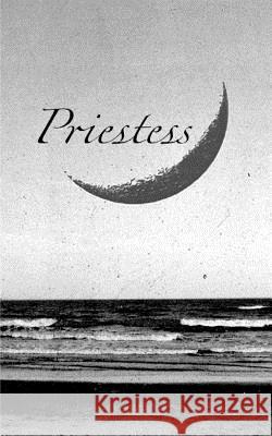 Priestess Matthew Mayfield 9781320405751 Blurb - książka