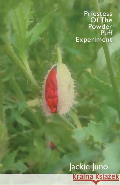 Priestess of the Powder Puff Experiment Jackie Juno 9781913958282 Burning Eye Books - książka