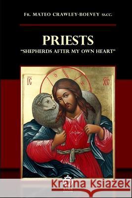 Priests PBK Mateo Crawley-Boevey 9781939409010 Stas Editions - książka