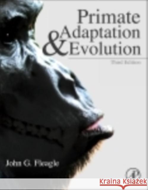 Primate Adaptation and Evolution John Fleagle 9780123786326  - książka