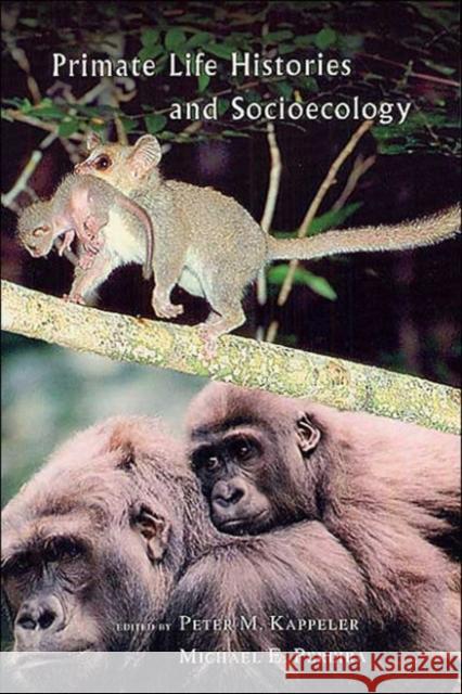Primate Life Histories and Socioecology Peter M. Kappeler Michael E. Pereira University of Chicago Press 9780226424644 University of Chicago Press - książka