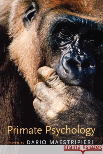 Primate Psychology Dario Maestripieri 9780674018471 Harvard University Press - książka