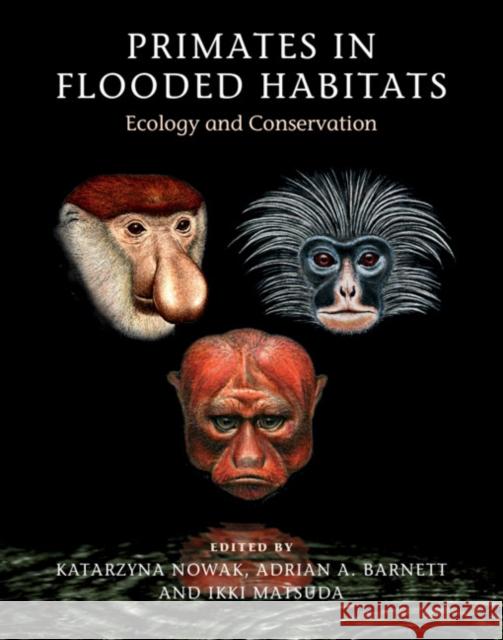 Primates in Flooded Habitats: Ecology and Conservation Katarzyna Nowak Adrian A. Barnett Ikki Matsuda 9781107134317 Cambridge University Press - książka