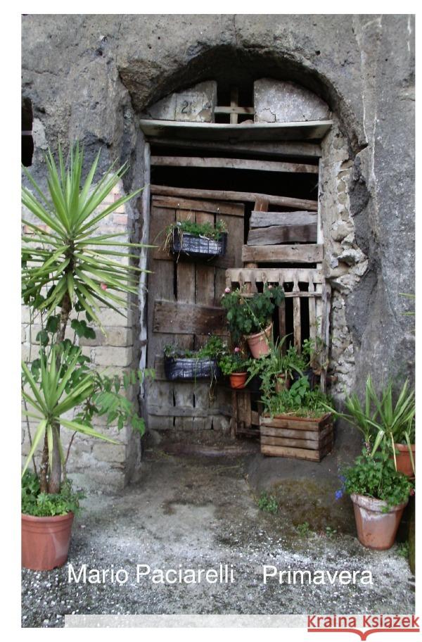 Primavera Paciarelli, Mario 9783750275867 epubli - książka