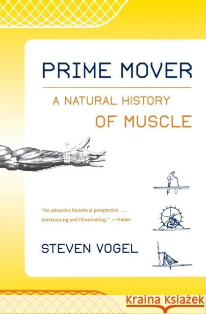 Prime Mover: A Natural History of Muscle Vogel, Steven 9780393324631 W. W. Norton & Company - książka