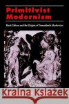 Primitivist Modernism: Black Culture and the Origins of Transatlantic Modernism Lemke, Sieglinde 9780195104035 Oxford University Press