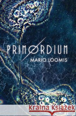 Primordium Mario Loomis 9780997074239 Clear Water Publishing - książka