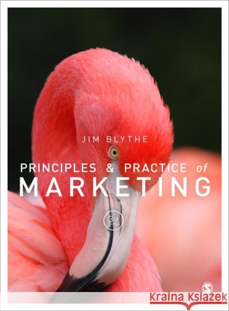 Principles and Practice of Marketing Jim Blythe 9781446274002  - książka