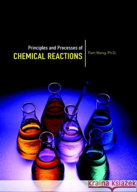 Principles and Processes of Chemical Reactions Pam Wang 9781680959024 Eurospan (JL) - książka