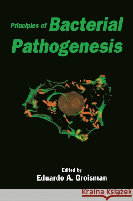 Principles of Bacterial Pathogenesis Eduardo Groisman Eduardo A. Groisman 9780123042200 Academic Press - książka