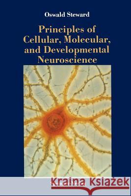 Principles of Cellular, Molecular, and Developmental Neuroscience Oswald Steward 9781461281481 Springer - książka