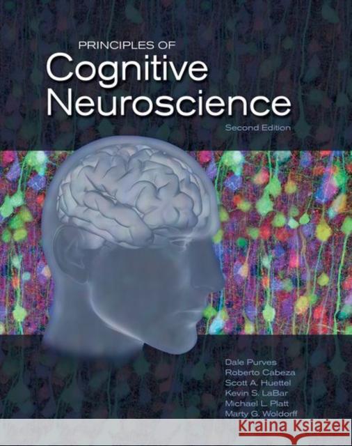 Principles of Cognitive Neuroscience Purves, Dale|||Brannon, Elizabeth|||Cabeza, Roberto 9780878935734 Sinauer Associates - książka