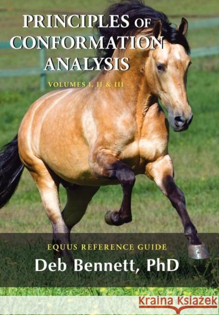 Principles of Conformation Analysis: Equus Reference Guide Bennett, Deb 9781929164608 Active Interest Media - książka