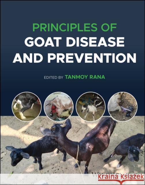 Principles of Diseases of Goats and its Preventive  Measures Rana 9781119896111 John Wiley and Sons Ltd - książka