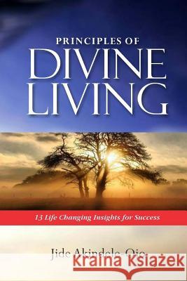 Principles of Divine Living: 13 Life Changing Insights for Success Jide Akindele-Ojo 9789789499892 Storyteller Services - książka