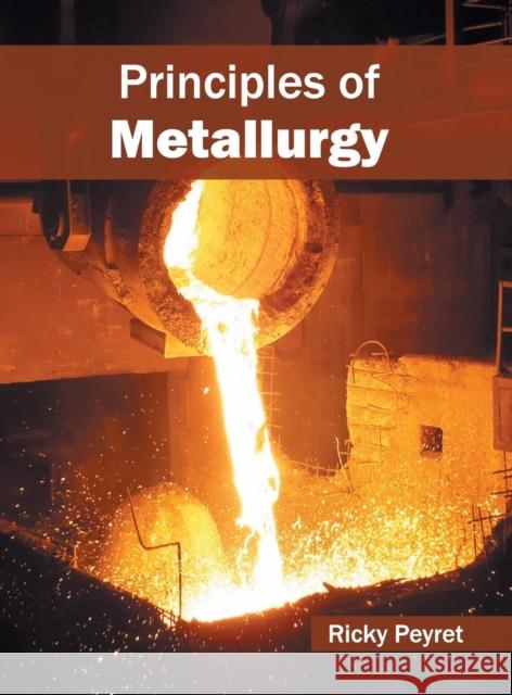 Principles of Metallurgy Ricky Peyret 9781682851203 Willford Press - książka