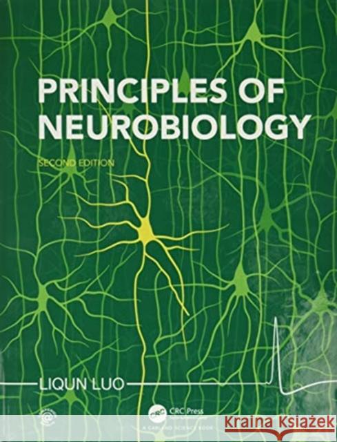 Principles of Neurobiology Liqun Luo 9780367514716 Garland Science - książka