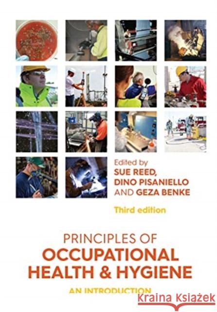 Principles of Occupational Health and Hygiene: An Introduction Sue Reed Dino Pisaniello Geza Benke 9780367719036 Routledge - książka