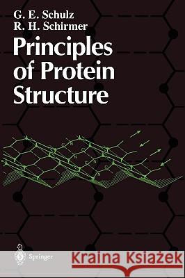 Principles of Protein Structure Georg E. Schulz R. Heiner Schirmer G. E. Schulz 9780387903347 Springer - książka